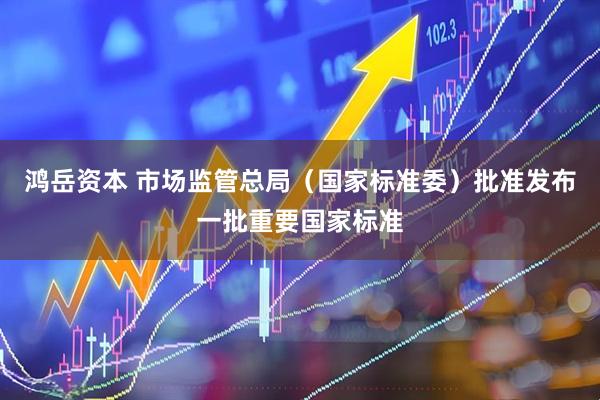 鸿岳资本 市场监管总局（国家标准委）批准发布一批重要国家标准